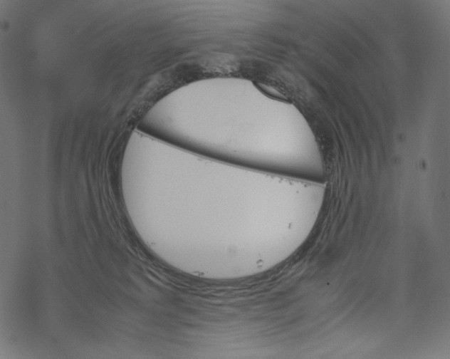 X0000067890229200605041600