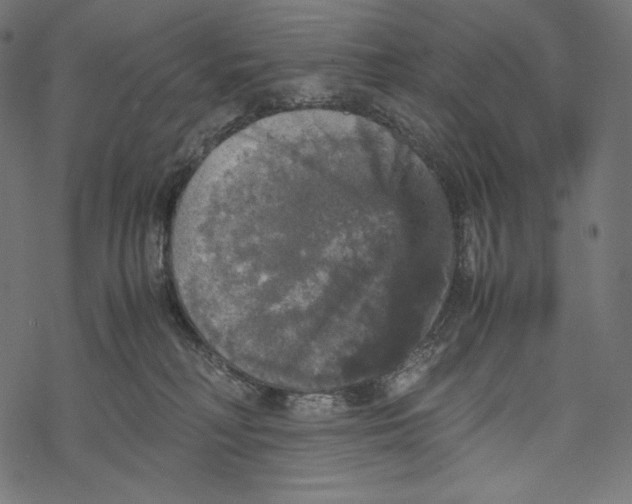 X0000067890230200605041600