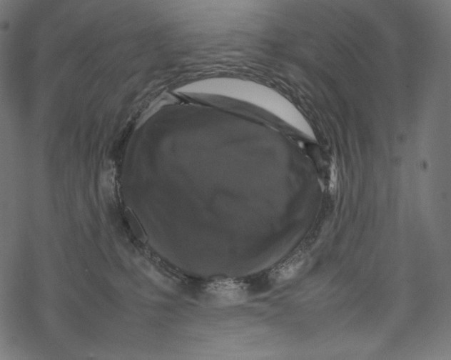 X0000067890231200605041600