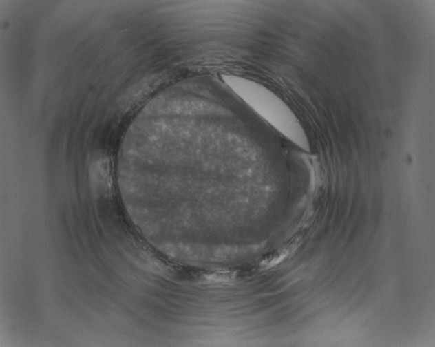 X0000067890232200605041600