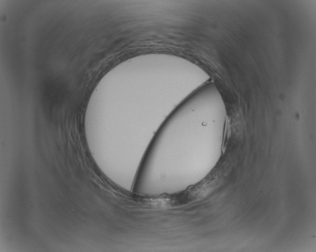 X0000067890233200605041600