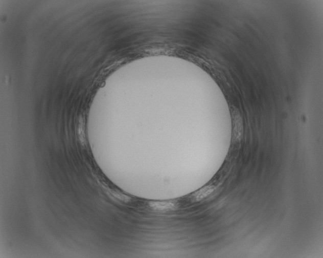 X0000067890234200605041600