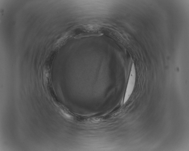 X0000067890235200605041600