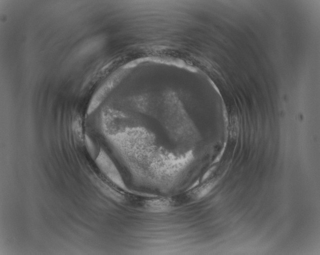 X0000067890238200605041600