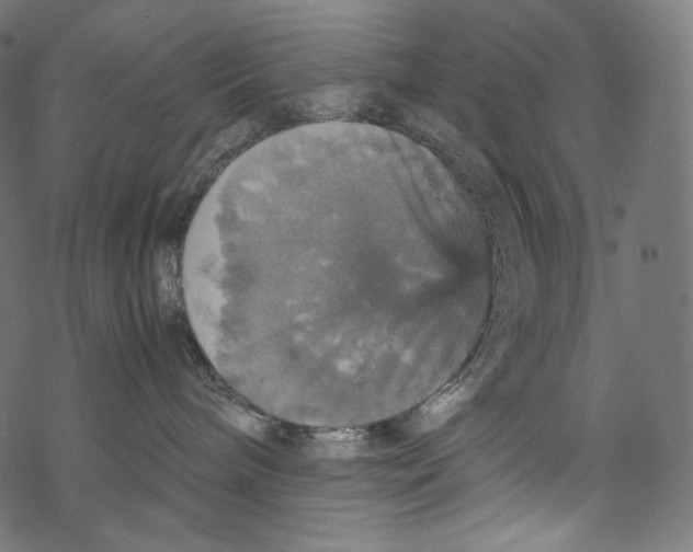 X0000067890240200605041600