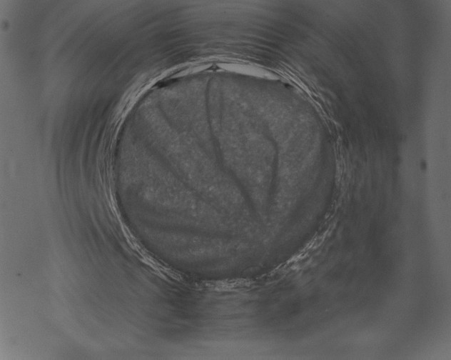 X0000067890241200605041559