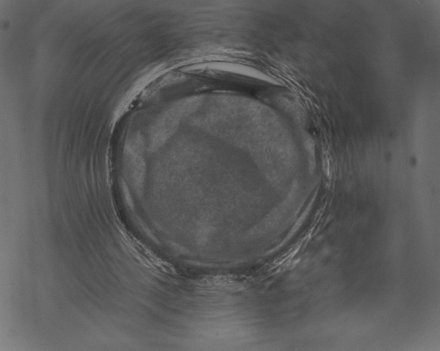 X0000067890244200605041559