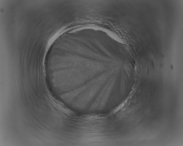 X0000067890246200605041559