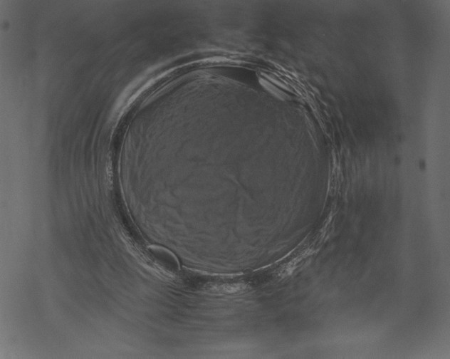 X0000067890247200605041559