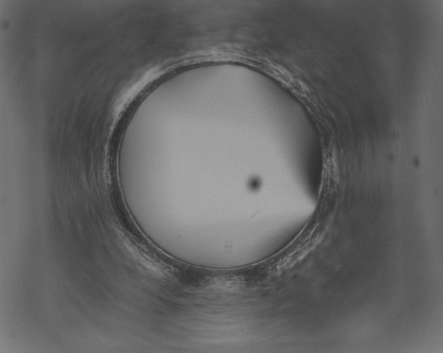 X0000067890248200605041559