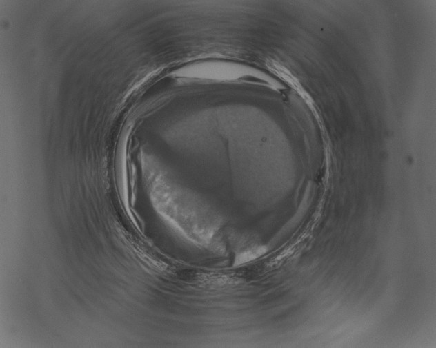 X0000067890249200605041559