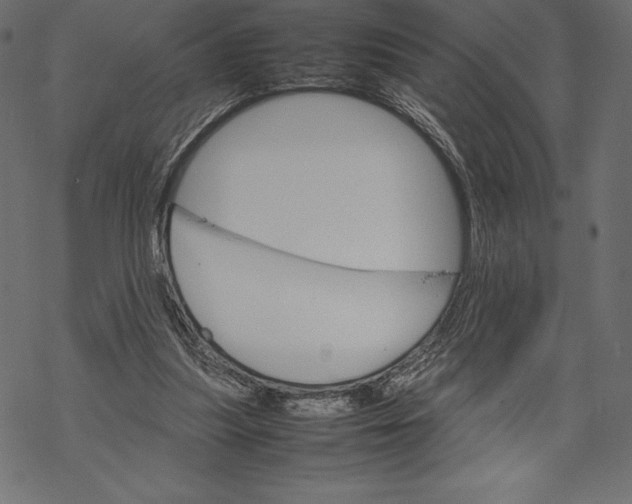 X0000067890251200605041559