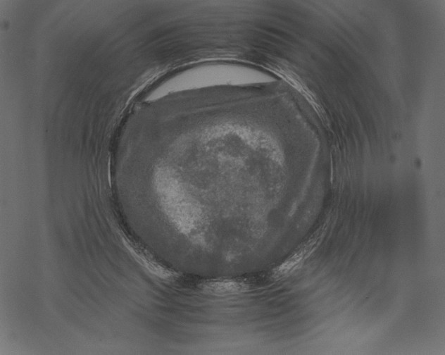 X0000067890253200605041559