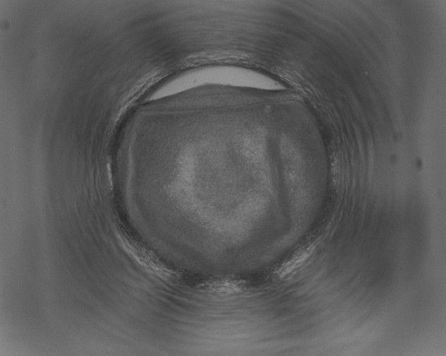 X0000067890254200605041600