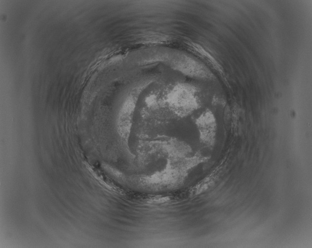 X0000067890257200605041600