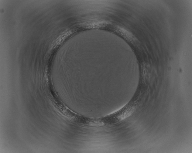 X0000067890258200605041600