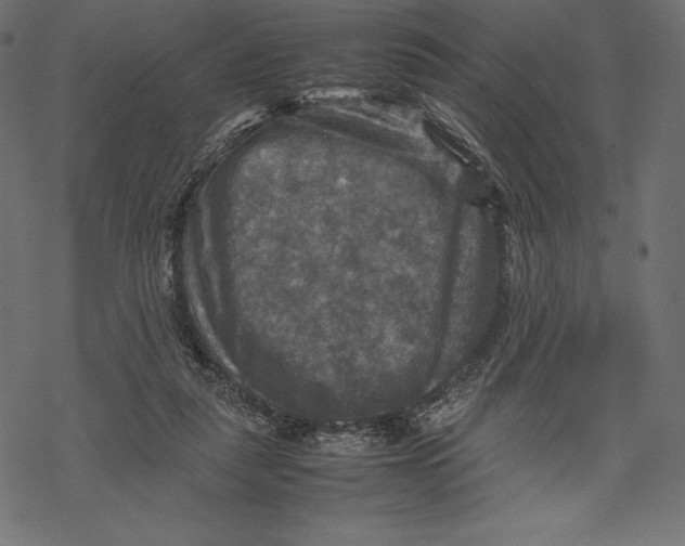 X0000067890259200605041600