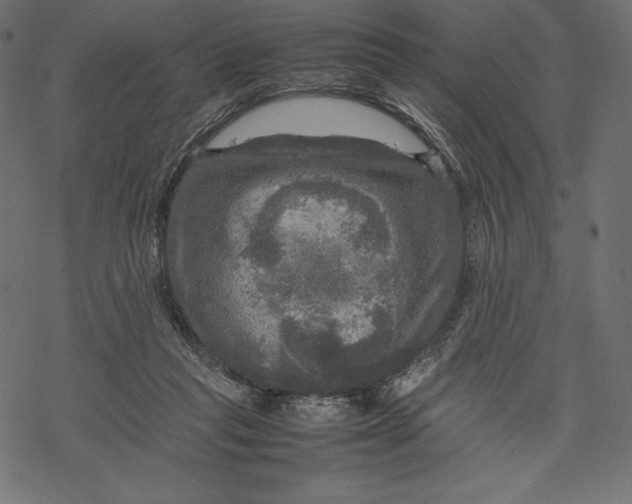 X0000067890261200605041600