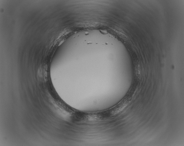 X0000067890264200605041600