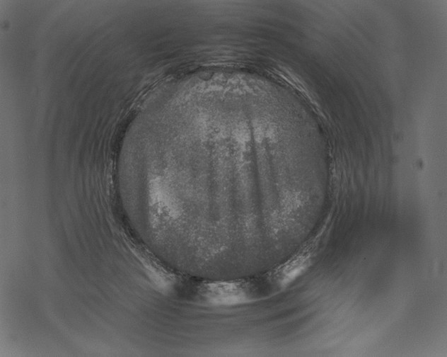 X0000067890265200605041600