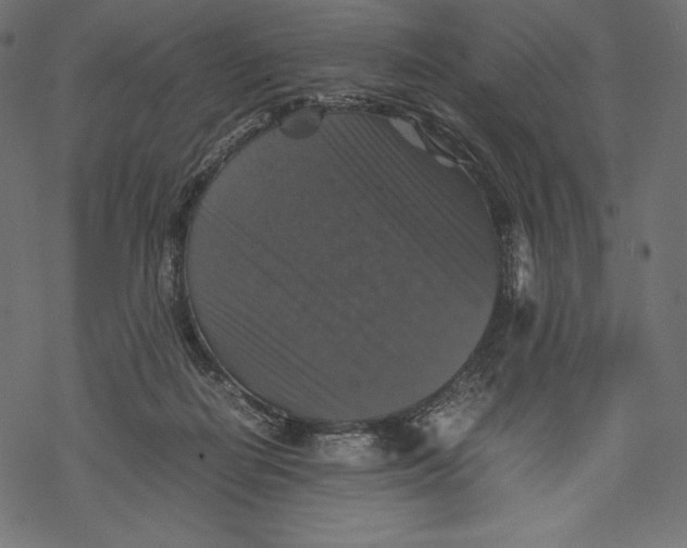 X0000067890266200605041600