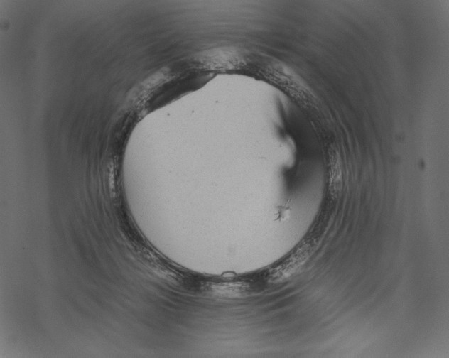 X0000067890268200605041600