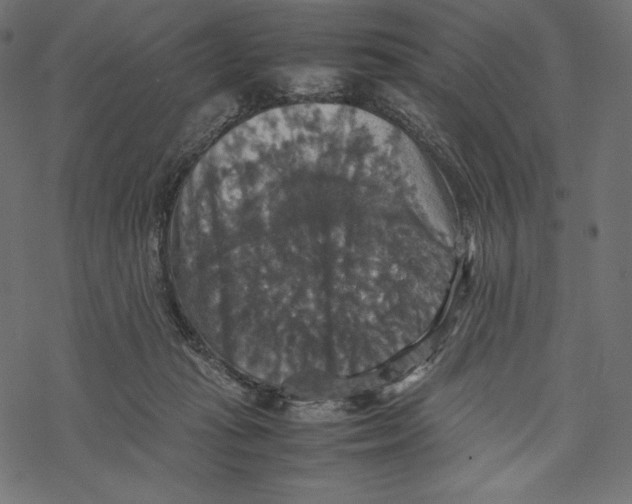 X0000067890269200605041600