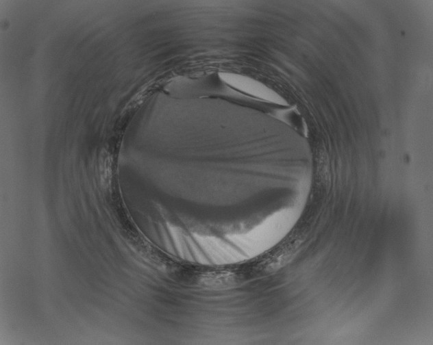 X0000067890271200605041600