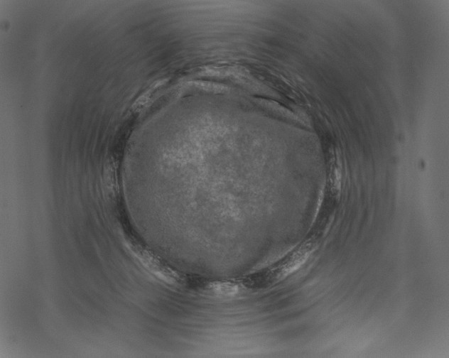 X0000067890272200605041600