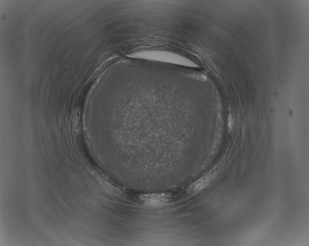 X0000067890273200605041600