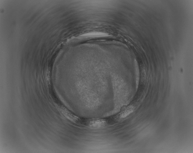 X0000067890274200605041600