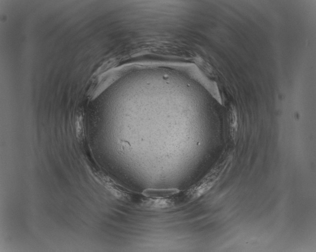 X0000067890276200605041600