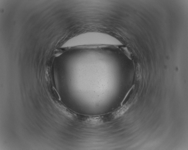 X0000067890280200605041600