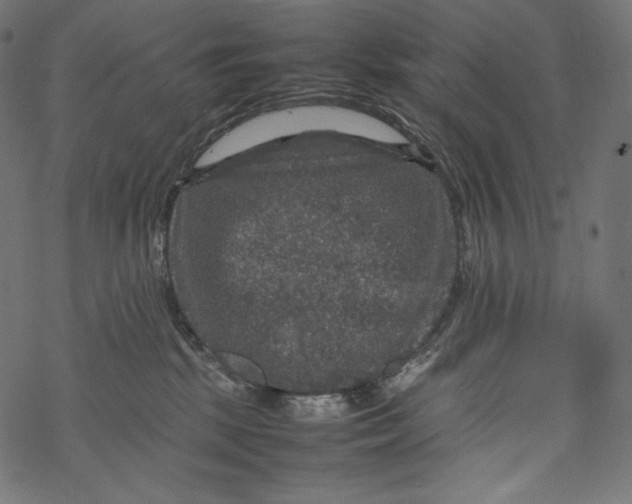 X0000067890281200605041600