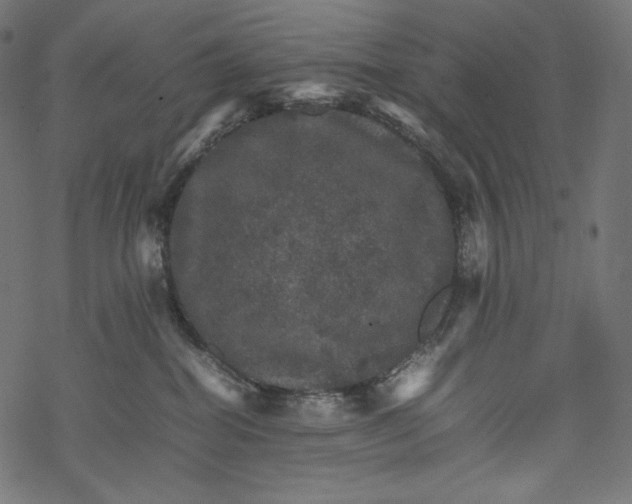 X0000067890282200605041600