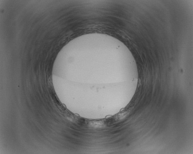 X0000067890283200605041600