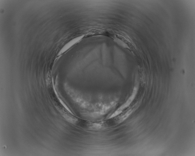 X0000067890285200605041600