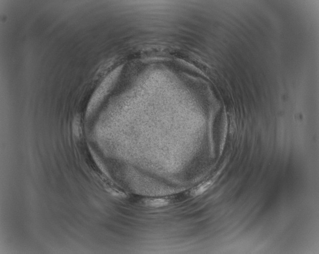 X0000067890287200605041600