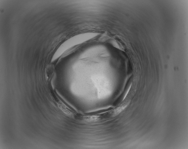 X0000067890288200605041600