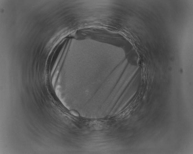 X0000067890290200605041559