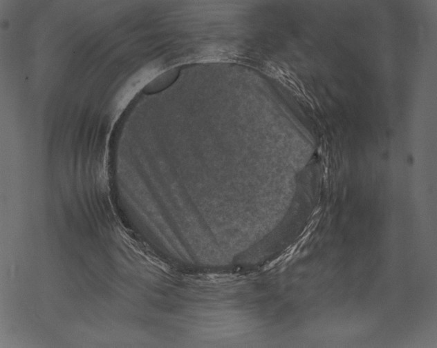 X0000067890292200605041559