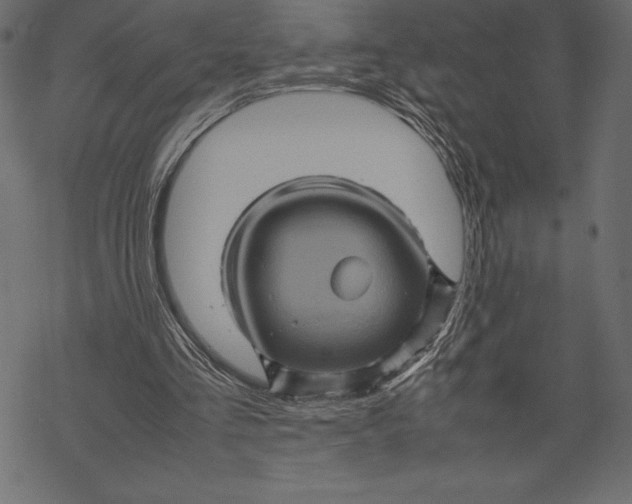 X0000067890293200605041559