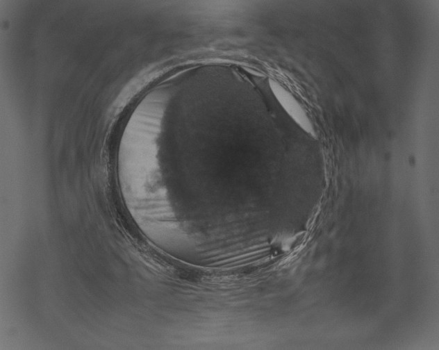 X0000067890295200605041559