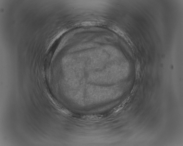 X0000067890297200605041559