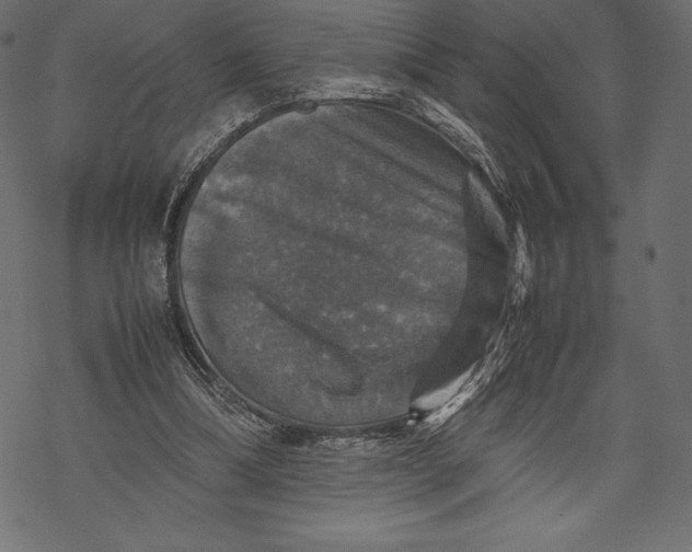 X0000067890298200605041559