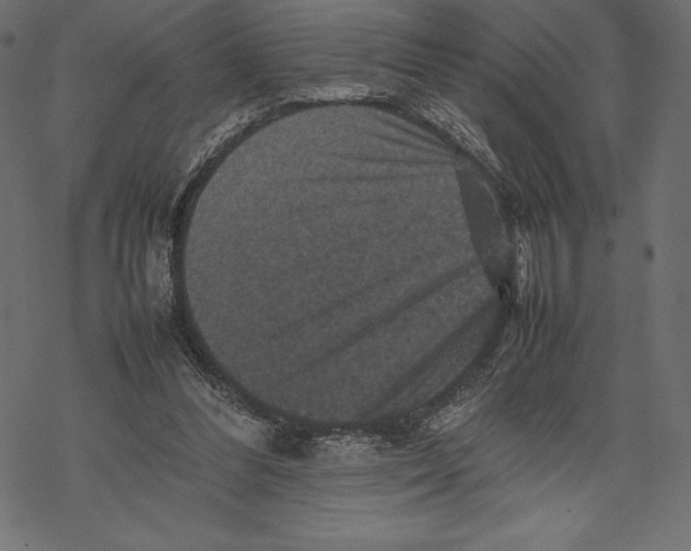 X0000067890300200605041559