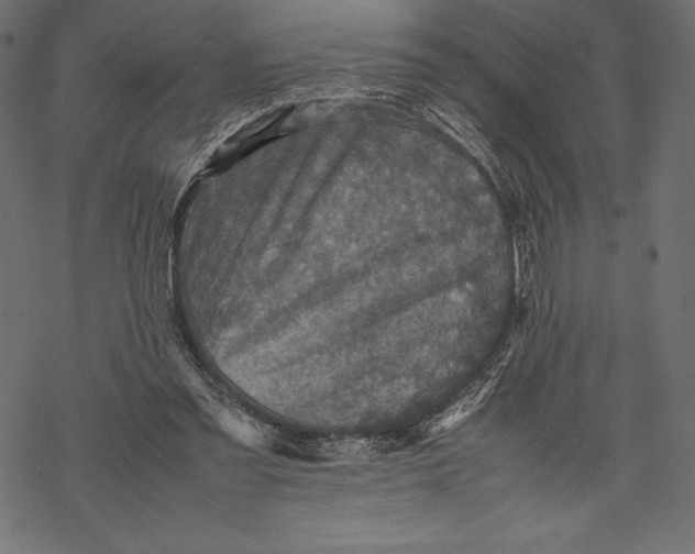 X0000067890301200605041559