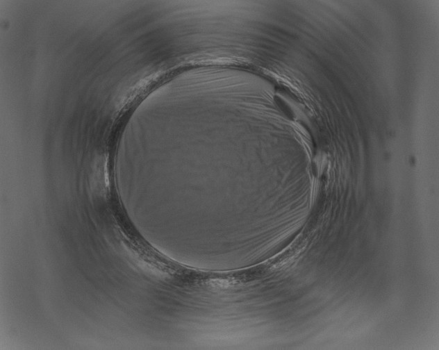 X0000067890302200605041559