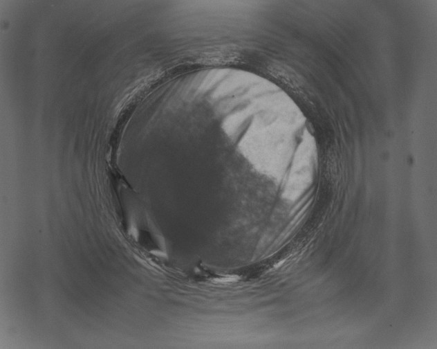 X0000067890303200605041559