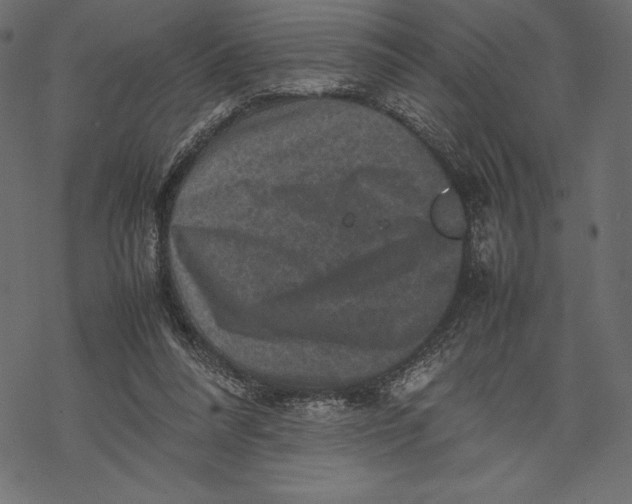 X0000067890304200605041559